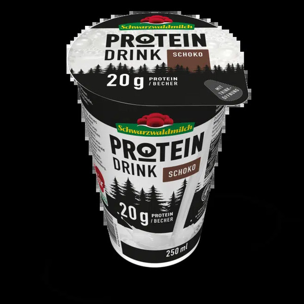 BM Schoko Protein Drink 250ml