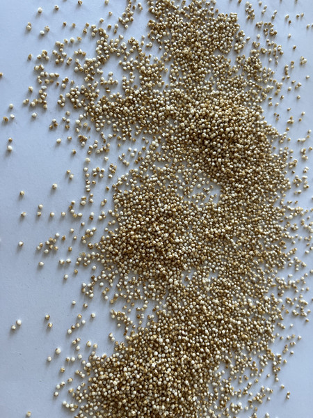 Bio Amaranth gepufft