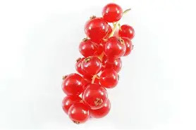 Wf TK Johannisbeeren 2,5kg rot