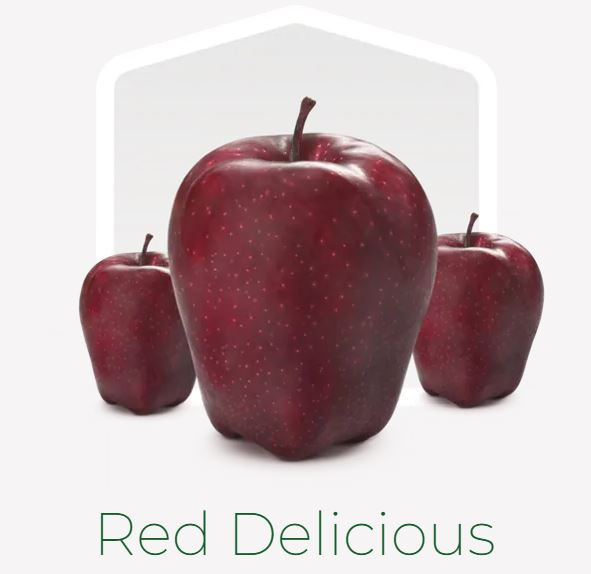 I Apfel Red Delicious 70/75