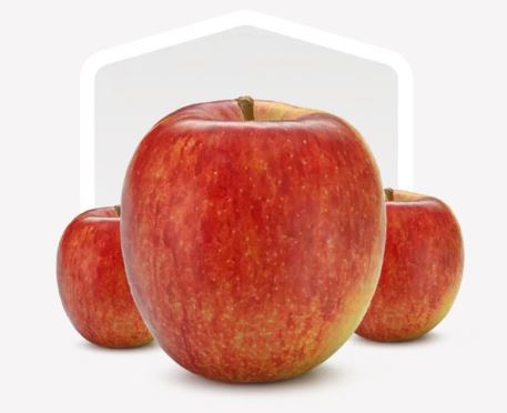 IT Braeburn Äpfel 70/75