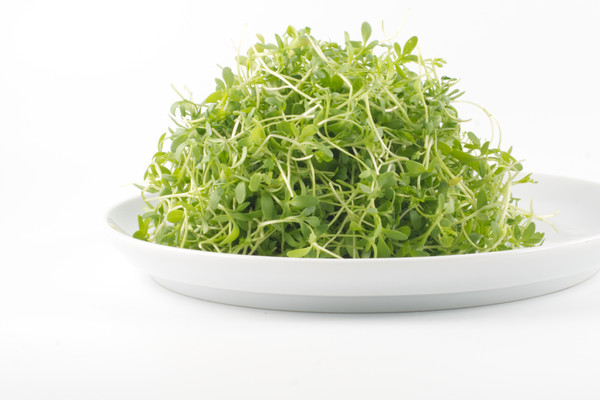 Kh Kresse 250g BW