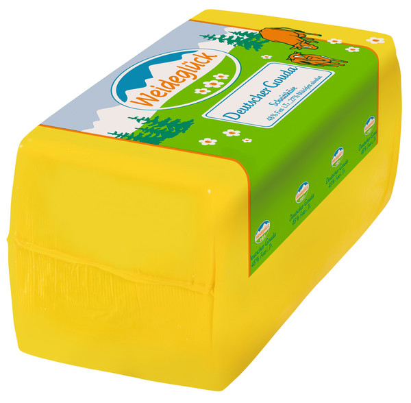 D WG Gouda 48% 2,8kg SK BW
