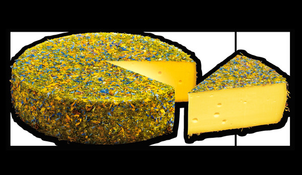 D Almblütenkäse 50% 6kg SK