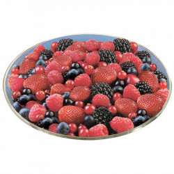 Dar TK Beerenteller 2,5kg
