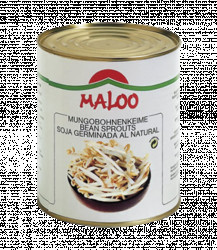 Mungobohnenkeimlinge 3100ml