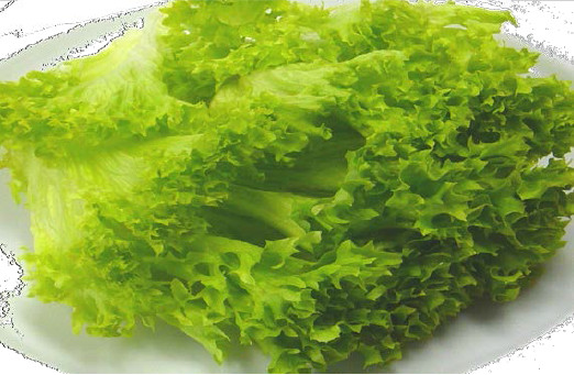 Lollo Bianco in Blätter 500g