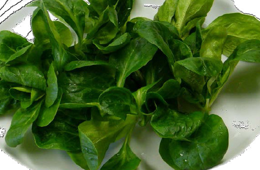 Feldsalat geputzt 500g