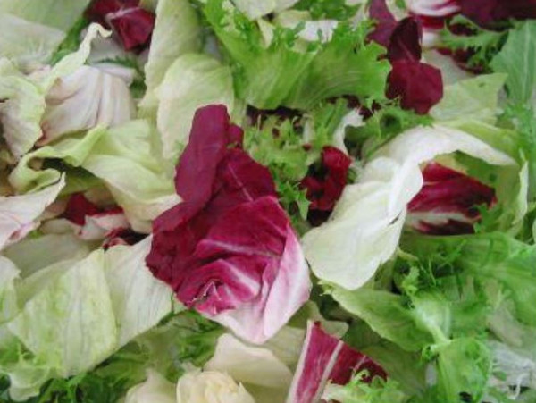 Mischsalat Standard 1kg