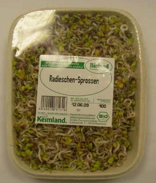 Radieschen Sprossen 100g