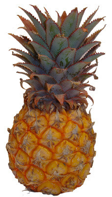 RSA Babyananas