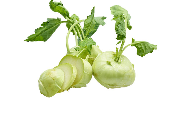 IT Kohlrabi weiss