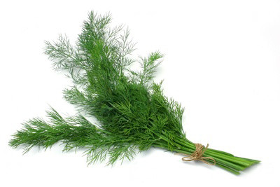 DE Dill 10er-Bund
