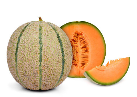 Cantaloupe Melone