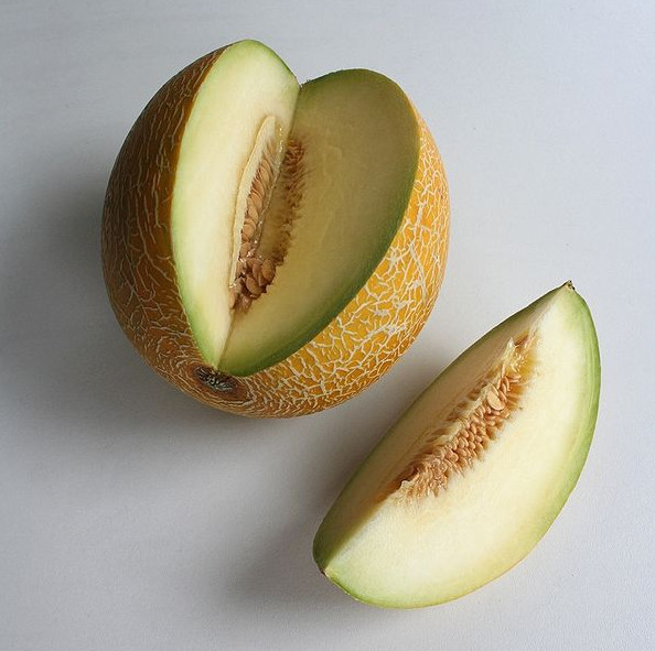 BR Melone Galia