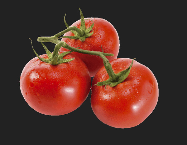 BE Strauchtomaten HKL I