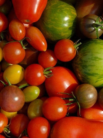 ES Vergessene Tomaten Mix 3kg