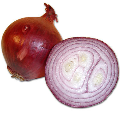 DE Zwiebeln rot 1kg