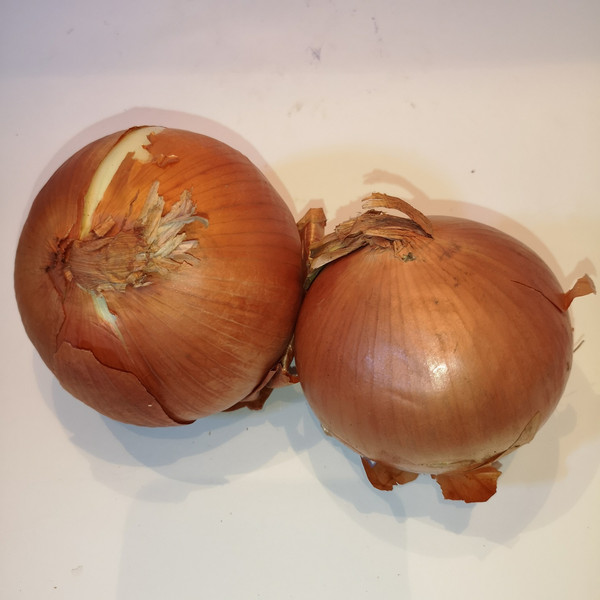 ES Metzgerzwiebeln