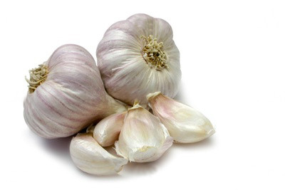 CN Knoblauch Strang
